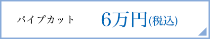 パイプカット 6万円